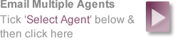 Email Selected Letting Agents