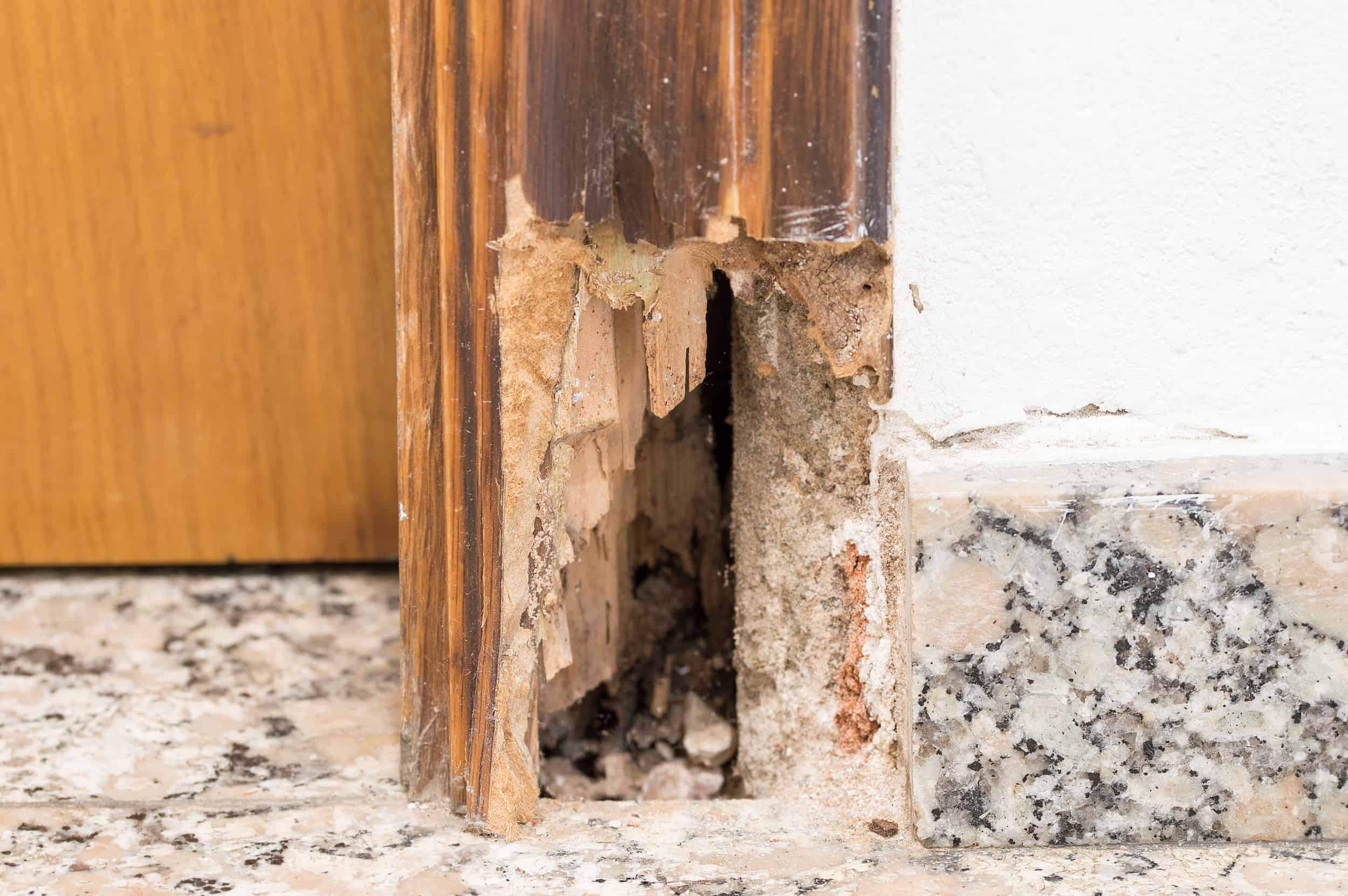 Dry Rot Repair in Sacramento Good Life Construction