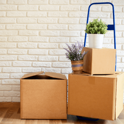 Reasonableness of Eviction