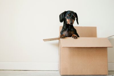 Moving Out: Essential Steps for a Smooth Experience