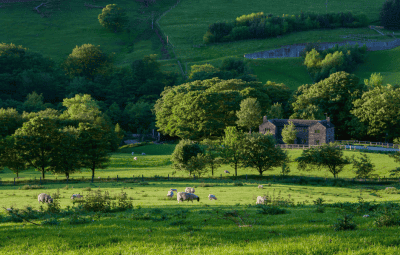 The Rising Demand for Countryside Properties in Scotland Post-Pandemic