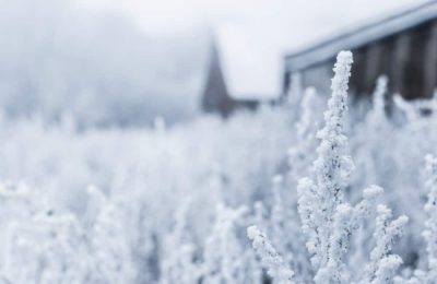 Plumbing and Heating Repairs in Rented Properties: Winter Advice
