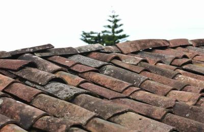 Roofs: Repairs and Responsibilities