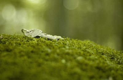 Writing a Will in Scotland: A Must for Property Owners and Parents