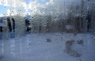 Housing Bill Stops Short of Implementing New Requirements on Damp and Mould for Private Landlords