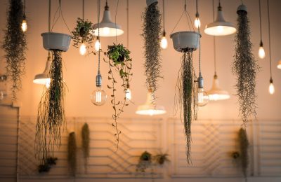 Mood Matters: The Power of Lighting in Rental Homes