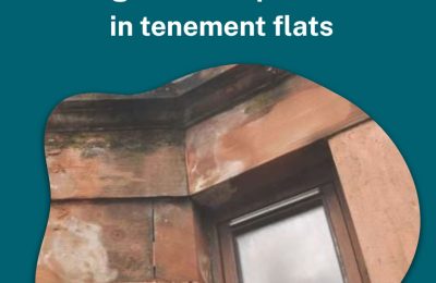 Dealing with Damp and Mould in Tenement Housing