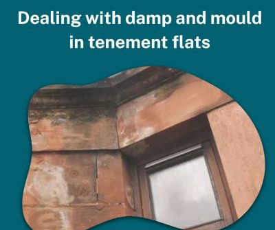 Dealing with Damp and Mould in Tenement Housing