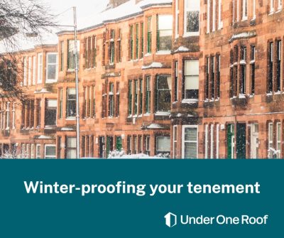Winter Tenement Maintenance