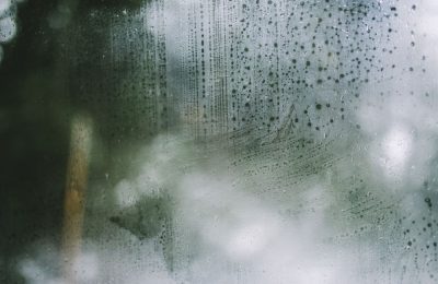 Damp, Mould and Awaab’s Law