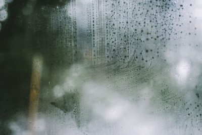 Damp, Mould and Awaab’s Law misty window